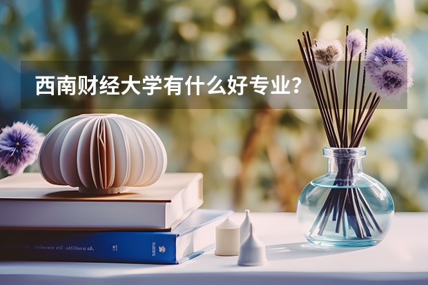 西南财经大学有什么好专业？