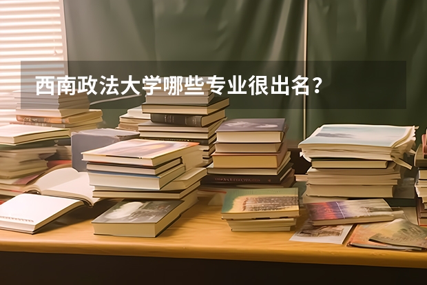 西南政法大学哪些专业很出名？