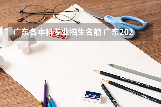 广东各本科专业招生名额 广东2023年招生计划和人数