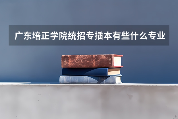 广东培正学院统招专插本有些什么专业能报考？