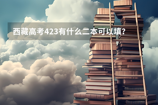 西藏高考423有什么二本可以填？