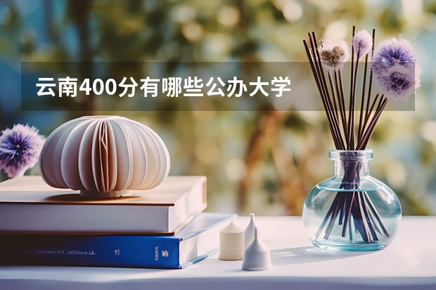 云南400分有哪些公办大学