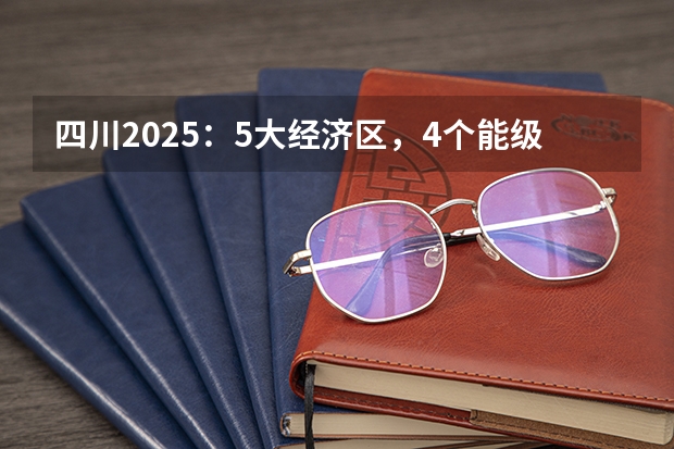 四川2025：5大经济区，4个能级梯队，新增10座机场，12城房价下跌（四川2025年新高考选考科目要求公布，“文科生”不再有学医机会！）