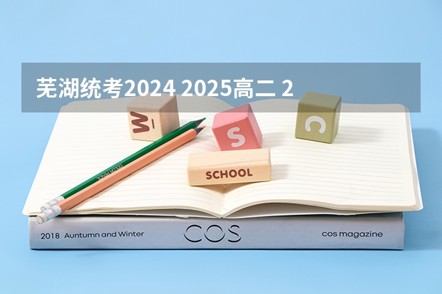 芜湖统考2024 2025高二 2025高考选科要求